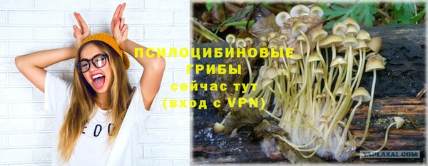 круглые Алзамай