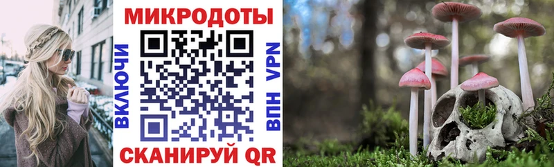 Галлюциногенные грибы мицелий  blacksprut ONION  Чишмы  купить наркотик 